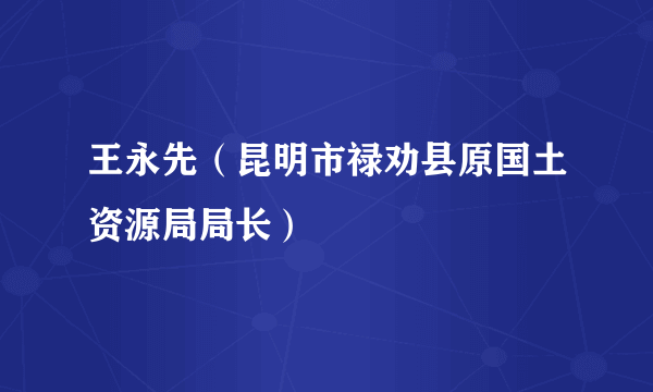 王永先（昆明市禄劝县原国土资源局局长）