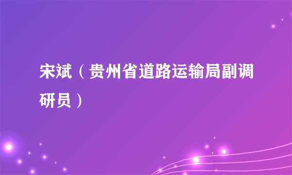 宋斌（贵州省道路运输局副调研员）