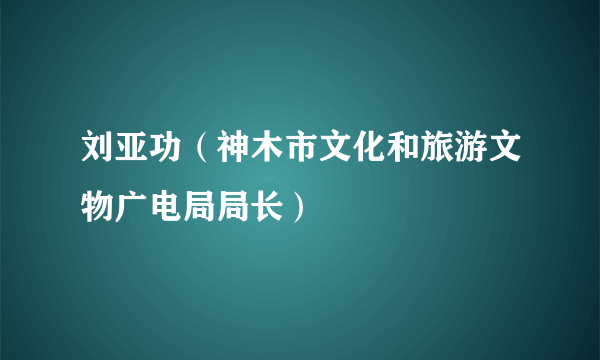 刘亚功（神木市文化和旅游文物广电局局长）