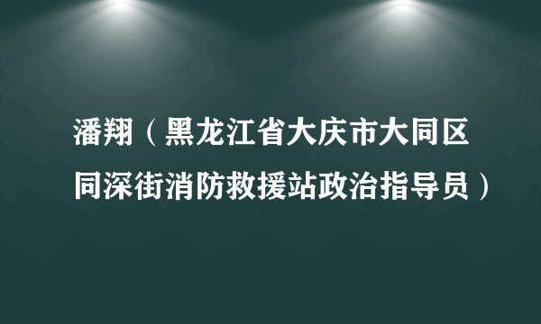 潘翔（黑龙江省大庆市大同区同深街消防救援站政治指导员）