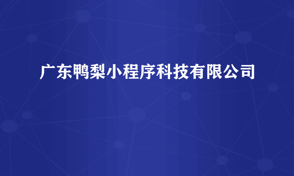 广东鸭梨小程序科技有限公司