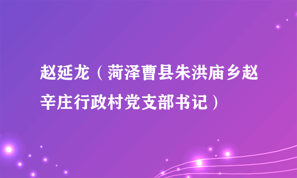 赵延龙（菏泽曹县朱洪庙乡赵辛庄行政村党支部书记）