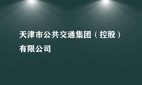 天津市公共交通集团（控股）有限公司