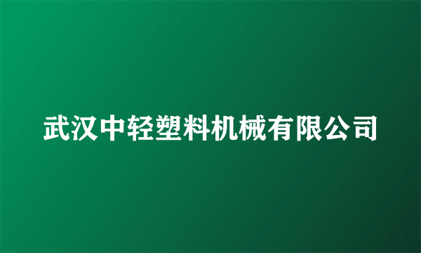 武汉中轻塑料机械有限公司