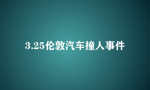 3.25伦敦汽车撞人事件