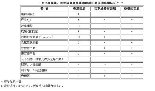 普罗威登斯菌属