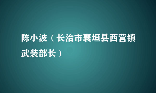 陈小波（长治市襄垣县西营镇武装部长）