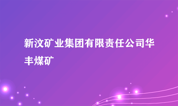 新汶矿业集团有限责任公司华丰煤矿