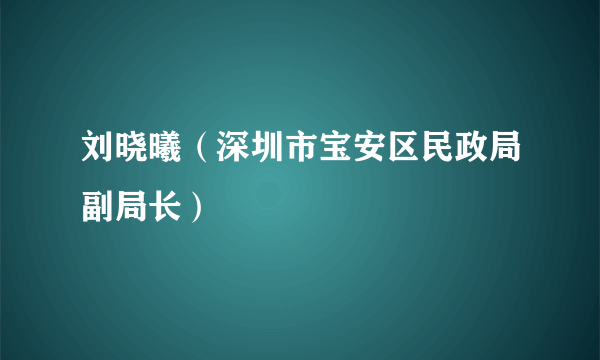 刘晓曦（深圳市宝安区民政局副局长）