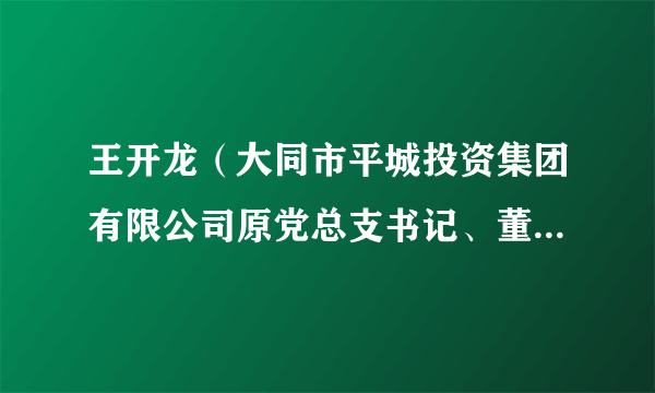 王开龙（大同市平城投资集团有限公司原党总支书记、董事长、总经理）