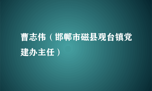 曹志伟（邯郸市磁县观台镇党建办主任）