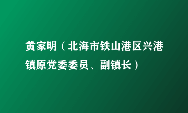 黄家明（北海市铁山港区兴港镇原党委委员、副镇长）