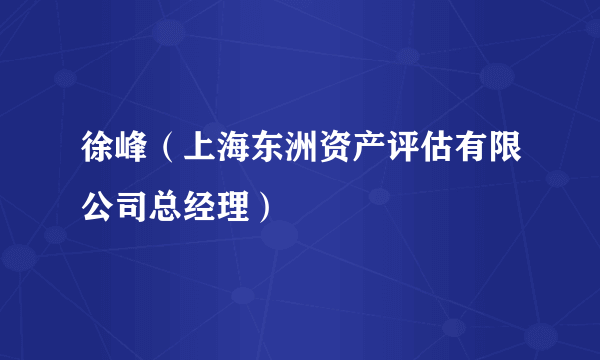 徐峰（上海东洲资产评估有限公司总经理）