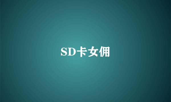 SD卡女佣