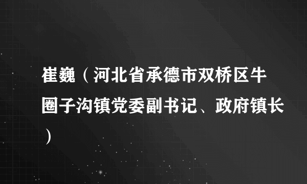 崔巍（河北省承德市双桥区牛圈子沟镇党委副书记、政府镇长）