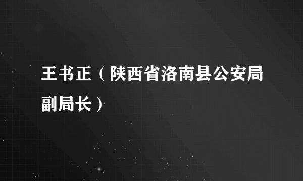 王书正（陕西省洛南县公安局副局长）