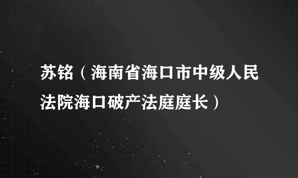 苏铭（海南省海口市中级人民法院海口破产法庭庭长）