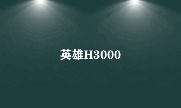 英雄H3000