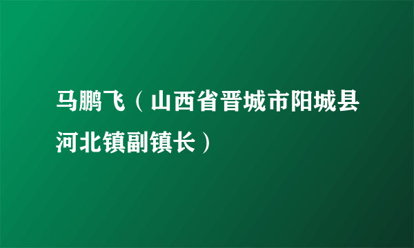 马鹏飞（山西省晋城市阳城县河北镇副镇长）