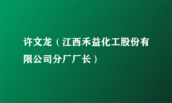 许文龙（江西禾益化工股份有限公司分厂厂长）