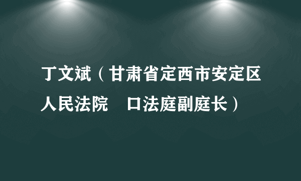 丁文斌（甘肃省定西市安定区人民法院巉口法庭副庭长）