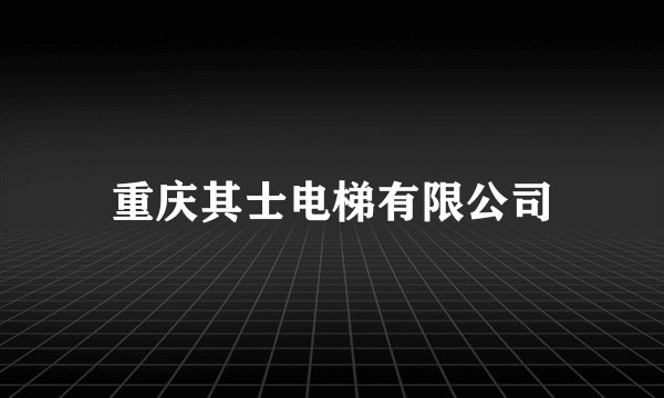 重庆其士电梯有限公司