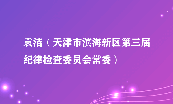 袁洁（天津市滨海新区第三届纪律检查委员会常委）