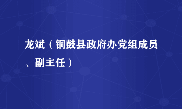 龙斌（铜鼓县政府办党组成员、副主任）