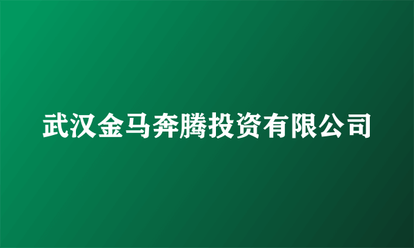 武汉金马奔腾投资有限公司