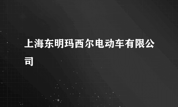 上海东明玛西尔电动车有限公司