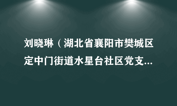 刘晓琳（湖北省襄阳市樊城区定中门街道水星台社区党支部书记）