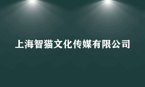 上海智猫文化传媒有限公司