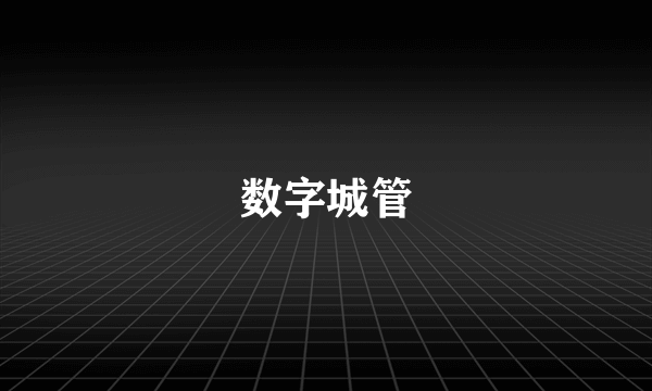 数字城管