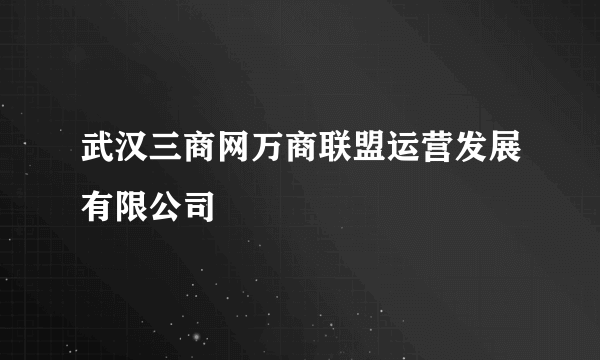 武汉三商网万商联盟运营发展有限公司