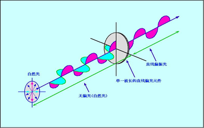 偏振光