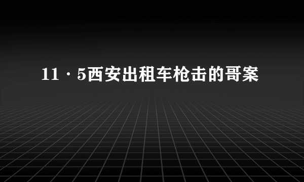 11·5西安出租车枪击的哥案