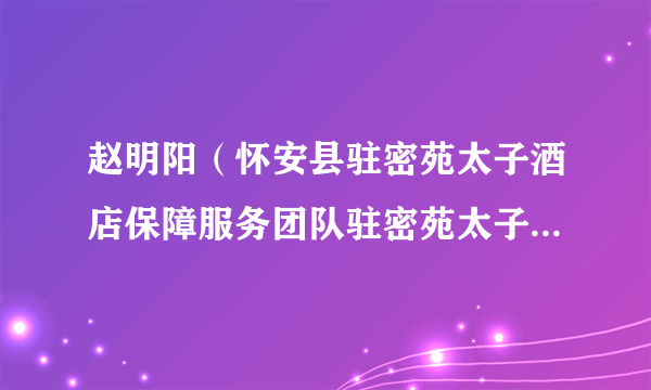 赵明阳（怀安县驻密苑太子酒店保障服务团队驻密苑太子酒店保障服务团队住宿保障负责人）