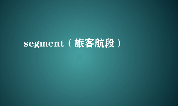 segment（旅客航段）