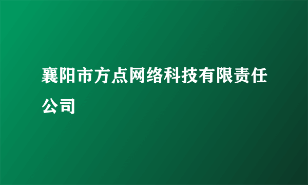 襄阳市方点网络科技有限责任公司