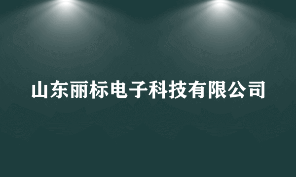 山东丽标电子科技有限公司