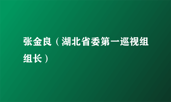 张金良（湖北省委第一巡视组组长）