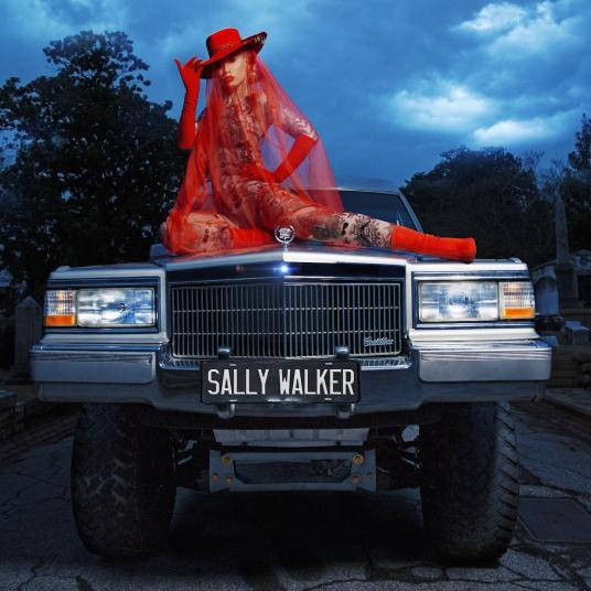 Sally Walker（Iggy Azalea演唱歌曲）