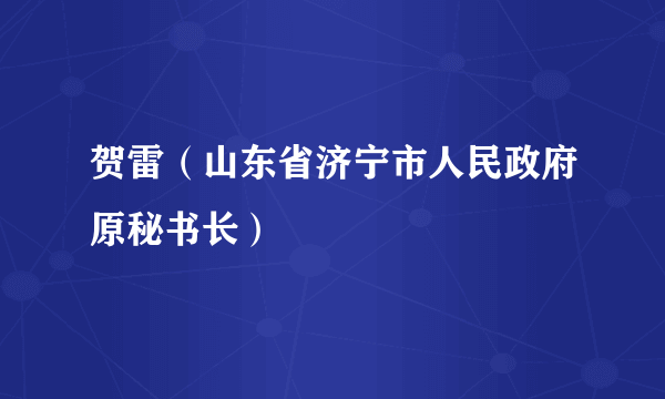 贺雷（山东省济宁市人民政府原秘书长）