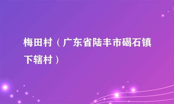 梅田村（广东省陆丰市碣石镇下辖村）