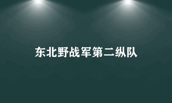 东北野战军第二纵队