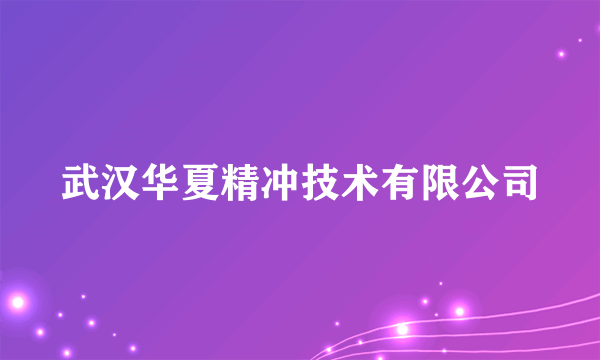 武汉华夏精冲技术有限公司