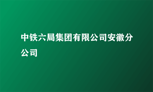 中铁六局集团有限公司安徽分公司