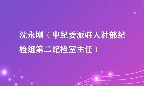 沈永刚（中纪委派驻人社部纪检组第二纪检室主任）