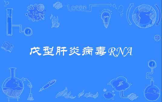 戊型肝炎病毒RNA