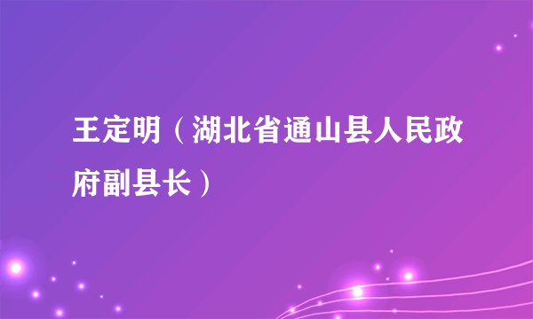 王定明（湖北省通山县人民政府副县长）